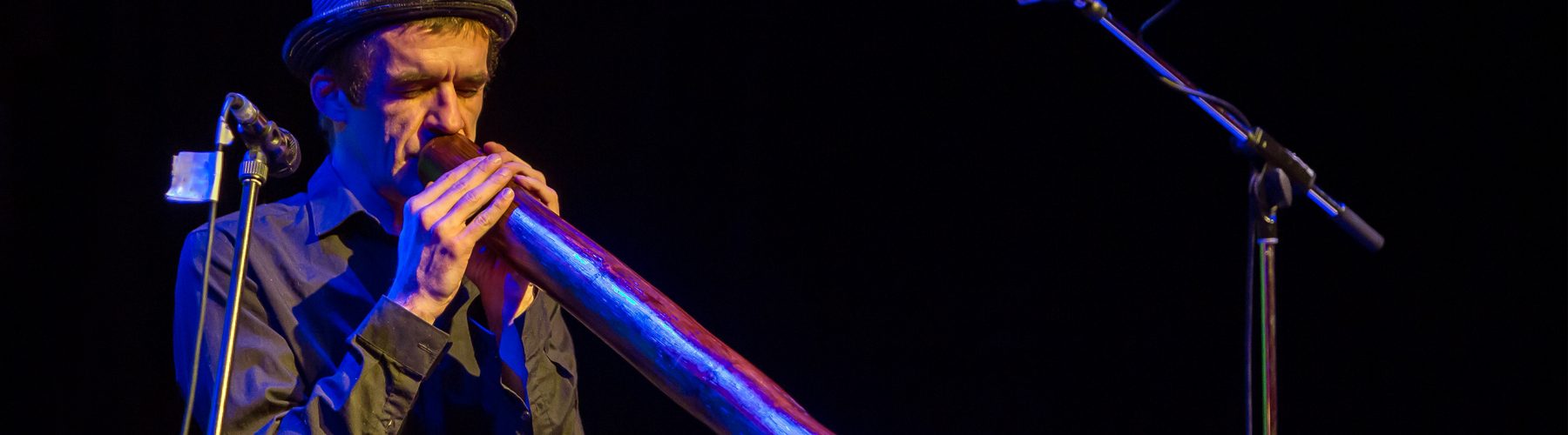 Didgeridoo for advanced learners Choose what you want to